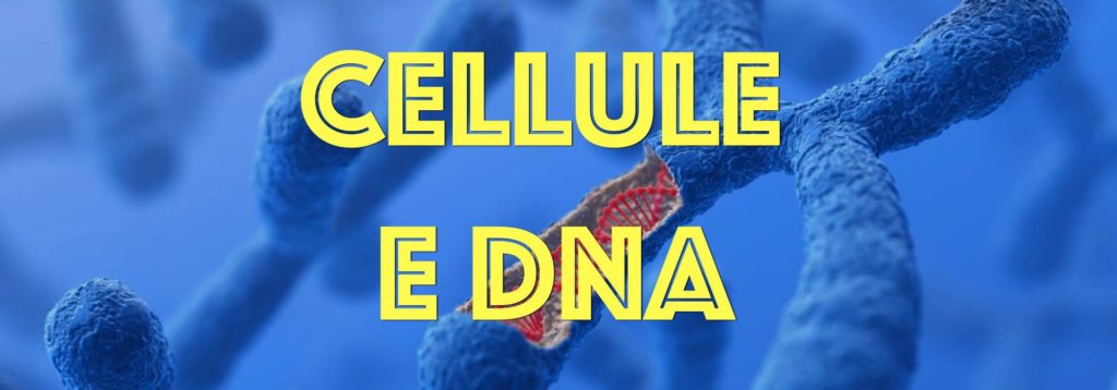 Cellule e DNA banner
